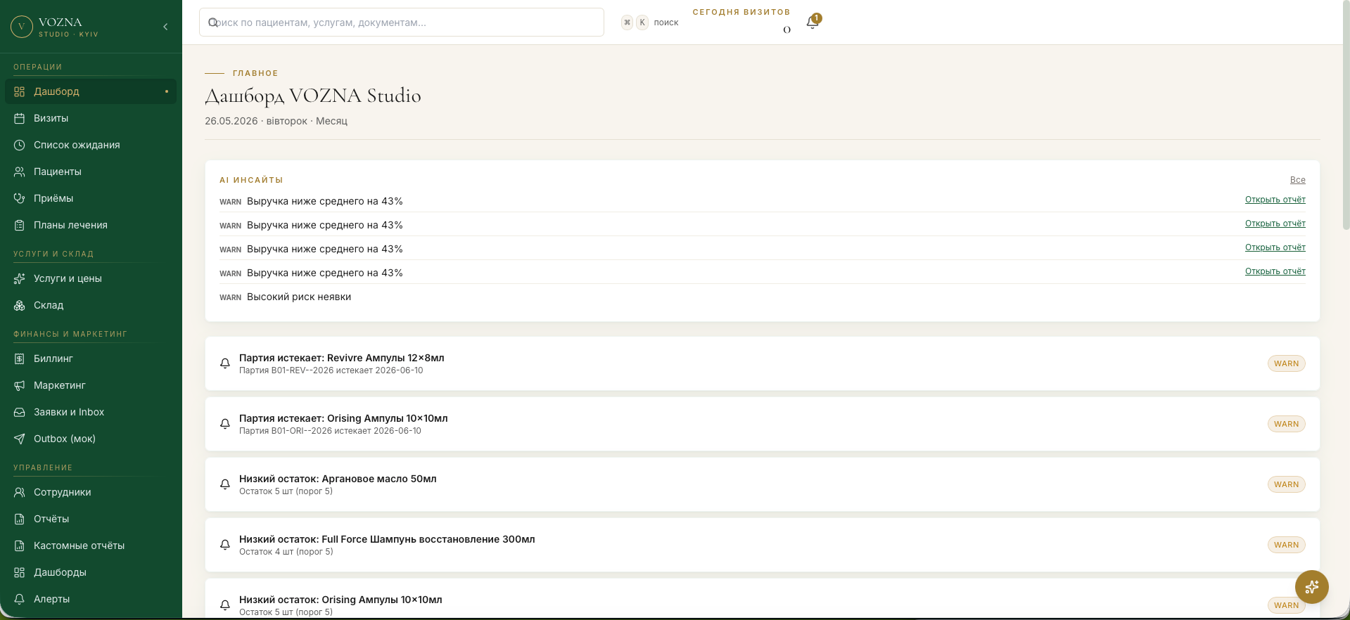 VOZNA Dashboard with AI insights